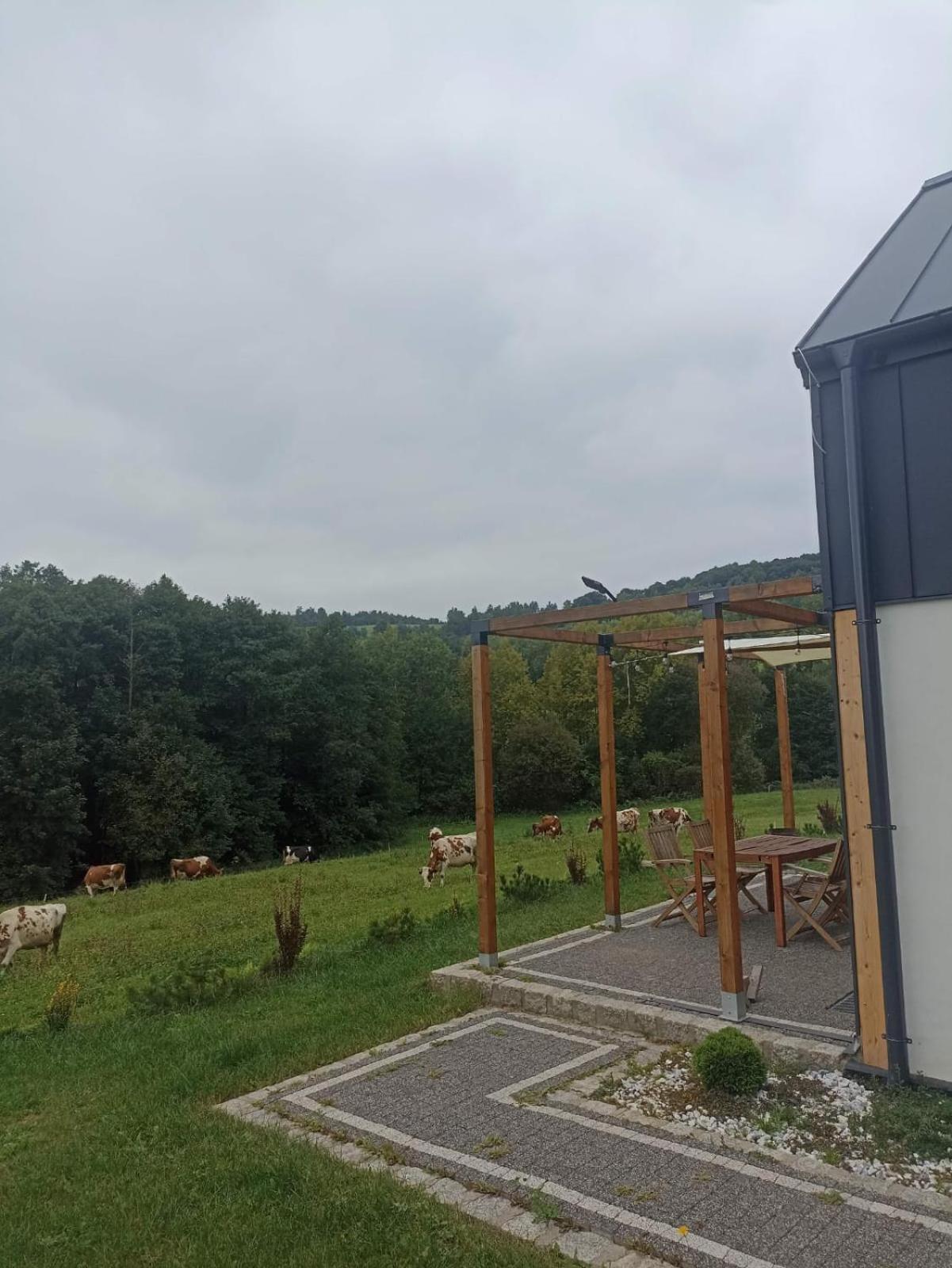 קאמיינה גורה Maraska Holiday House מראה חיצוני תמונה